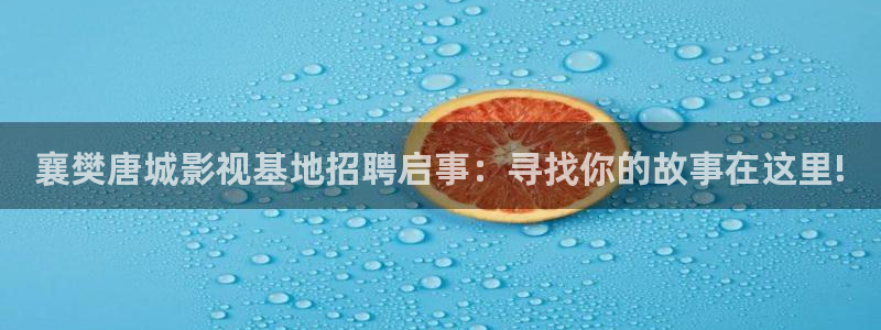 亚洲高清国产精品嫩草影院：襄樊唐城影视基地招聘启事：寻找你的故事在这里!