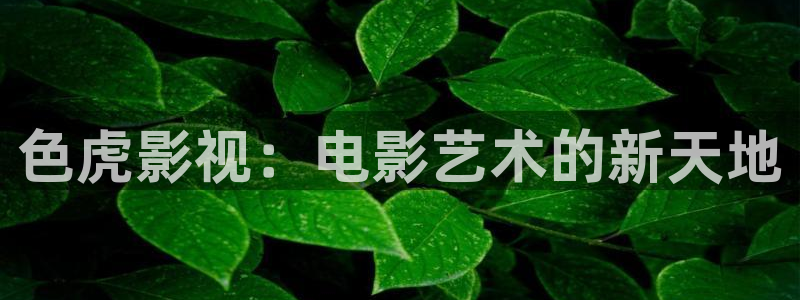 嫩草影院国产专区：色虎影视：电影艺术的新天地